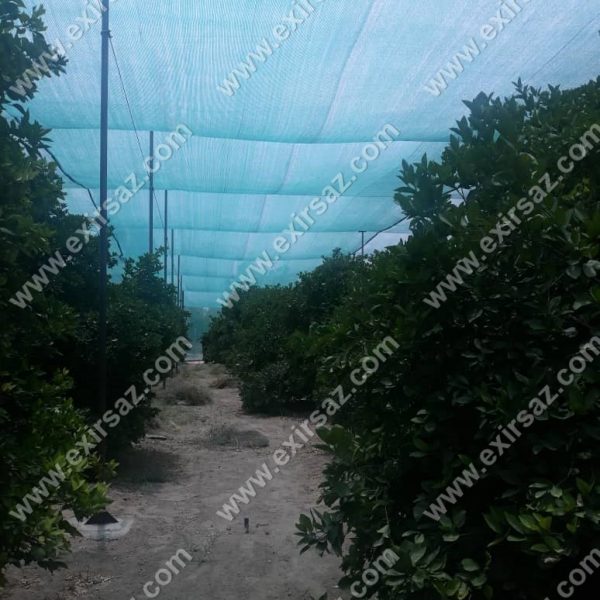 5توری سایبان برای جلوگیری از آفتاب سوختگی توری سایبان برای جلوگیری از آفتاب سوختگی