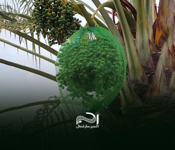 date-raschel-bag date-raschel-bag