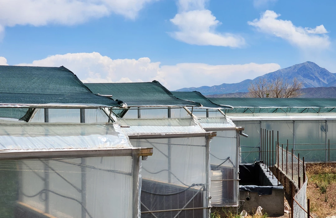 ساختار و نصب شید گلخانه