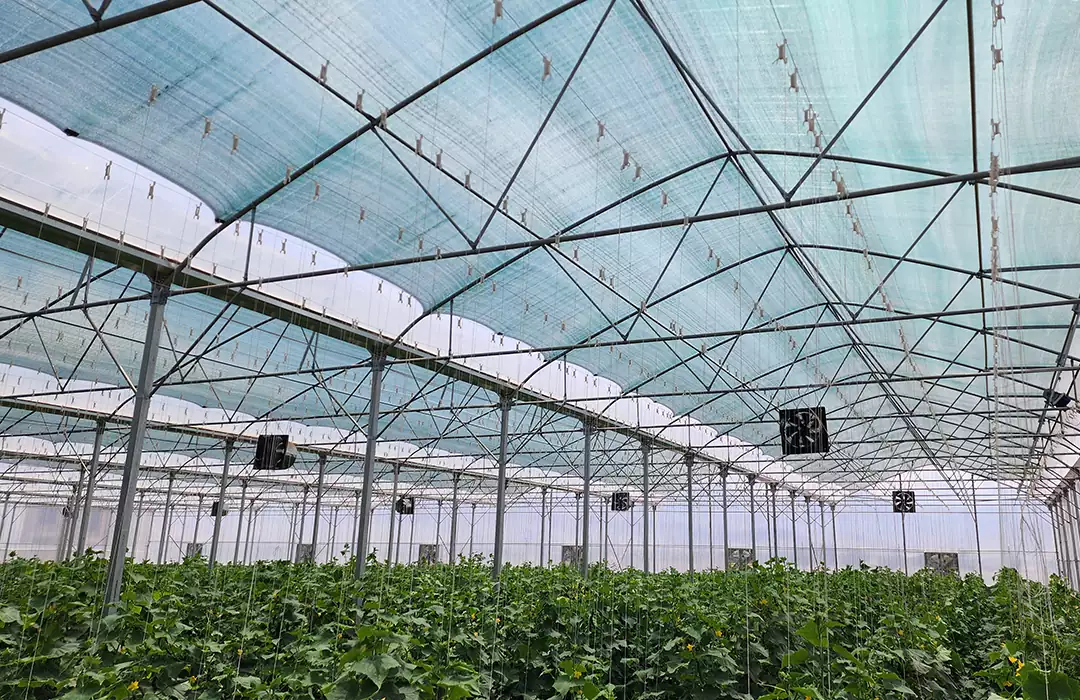 کاربرد توری سایبان ، ویژگی های شید گلخانه