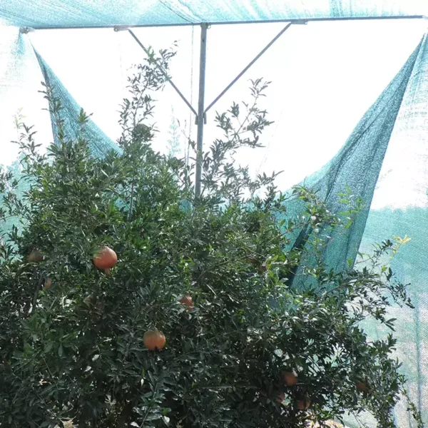 توری سایبان ضد آفتاب‌سوختگی