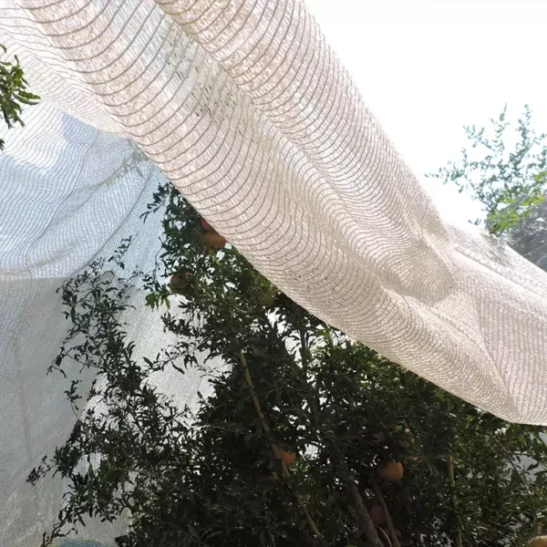 توری سایبان ضد آفتاب سوختگی