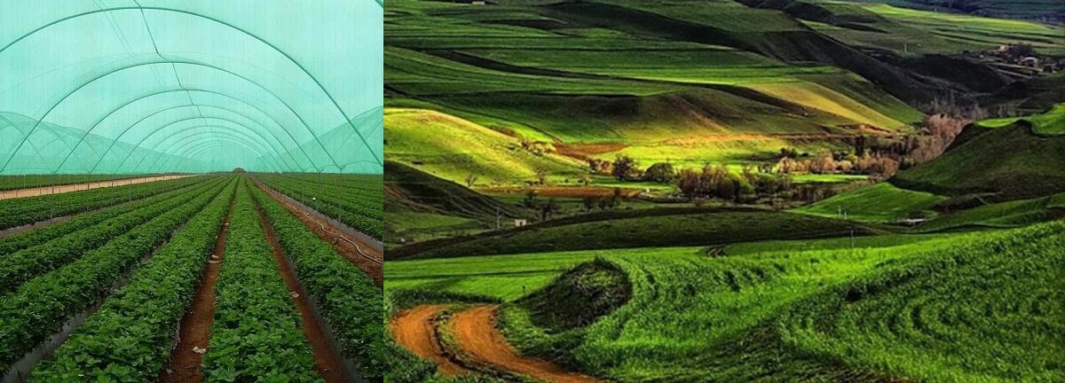 توری سایبان در دشت مغان