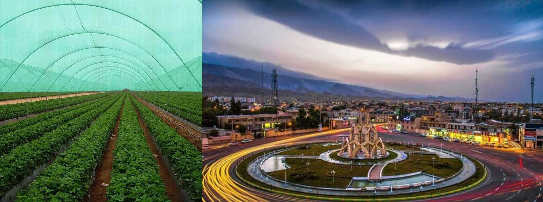 توری سایبان در لامرد