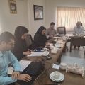 گواهینامه استاندارد مونوفیلامنت